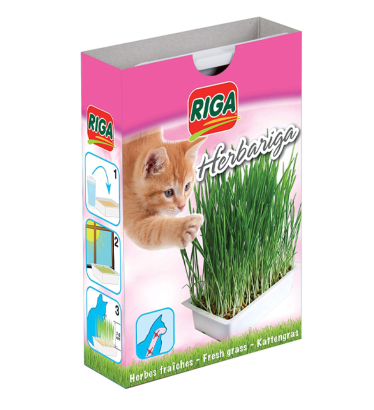 RIGA Herbariga, herbe à chat à faire pousser