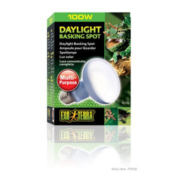 Ampoule à lumière du jour Exo Terra pour lézarder, R25, 100 W - Boutique Le Jardin Des Animaux -Eclairage reptileBoutique Le Jardin Des AnimauxPT2133