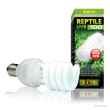 Ampoule fluocompacte UVB100 Exo Terra, 26 W - Boutique Le Jardin Des Animaux -Eclairage reptileBoutique Le Jardin Des AnimauxPT2187