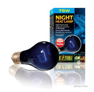 Ampoule nocturne à infrarouge Exo Terra, A19, 75 W - Boutique Le Jardin Des Animaux -Eclairage reptileBoutique Le Jardin Des AnimauxPT2130