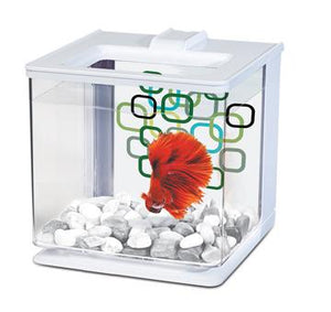Aquarium équipé EZ Care Marina pour betta, blanc, 2,5 L (0,7 gal US) - Boutique Le Jardin Des Animaux -AquariumBoutique Le Jardin Des Animaux13357