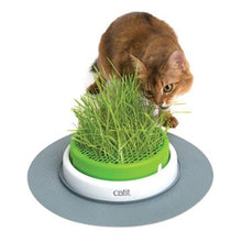 Charger l&#39;image dans la galerie, Catit 2.0 jardinière d&#39;herbe à chat à cultiver - Boutique Le Jardin Des Animaux -Herbe à chatBoutique Le Jardin Des Animaux43161w
