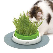 Charger l&#39;image dans la galerie, Catit 2.0 jardinière d&#39;herbe à chat à cultiver - Boutique Le Jardin Des Animaux -Herbe à chatBoutique Le Jardin Des Animaux43161w
