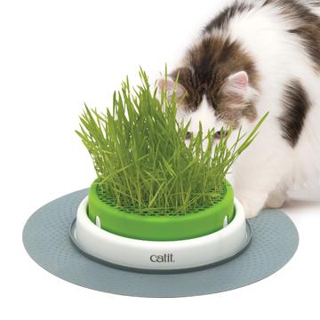 Catit 2.0 jardinière d'herbe à chat à cultiver - Boutique Le Jardin Des Animaux -Herbe à chatBoutique Le Jardin Des Animaux43161w