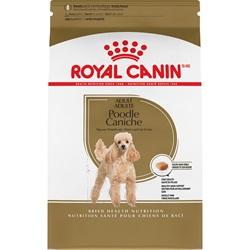 Nourriture Royal Canin chien caniche adulte - Boutique Le Jardin Des Animaux -Nourriture chienBoutique Le Jardin Des AnimauxRCPMP3