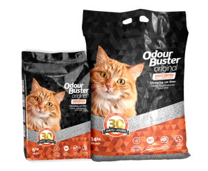 Litière pour chat Odour Buster Original