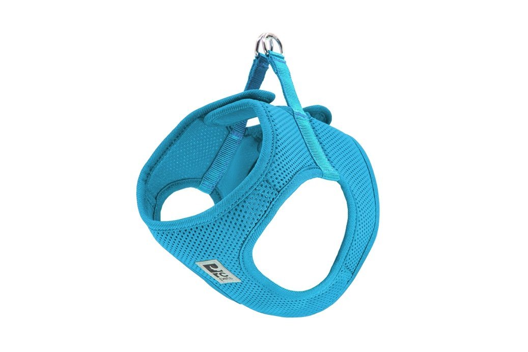 RC Pet Harnais Step In Cirque Turquoise - Boutique Le Jardin Des Animaux -HarnaisBoutique Le Jardin Des Animaux65401084