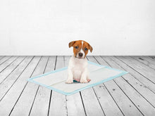 Charger l&#39;image dans la galerie, Savic Serviettes d’entraînement pour chien moyen - Boutique Le Jardin Des Animaux -entrainement proprrtéBoutique Le Jardin Des Animauxd-3247
