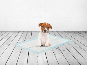 Savic Serviettes d’entraînement pour chien moyen - Boutique Le Jardin Des Animaux -entrainement proprrtéBoutique Le Jardin Des Animauxd-3247
